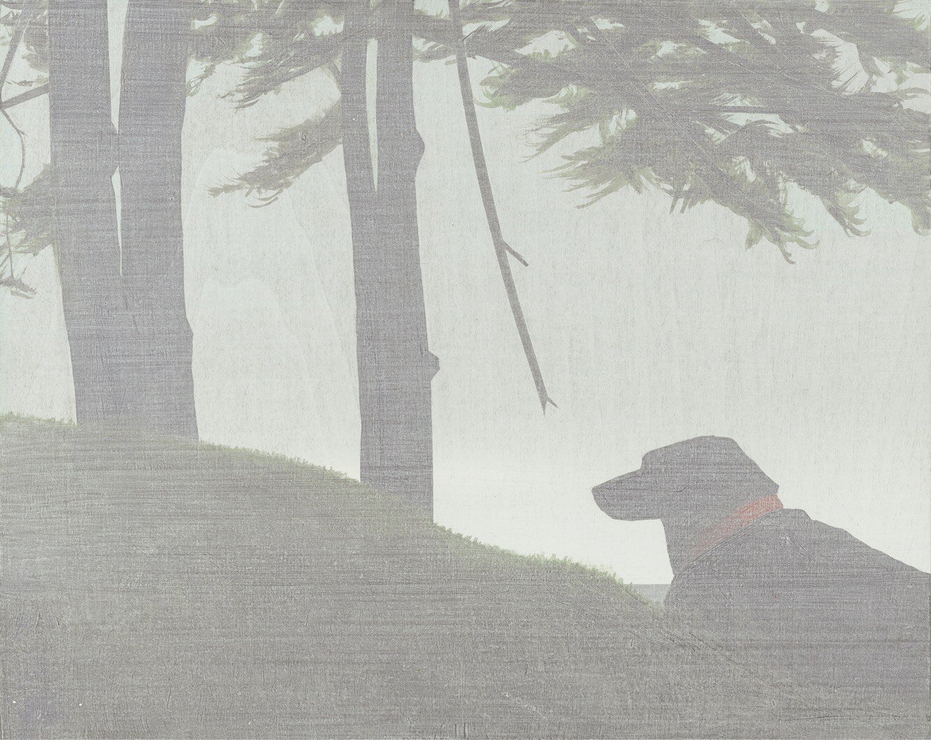 Black+dog+in+island+fog