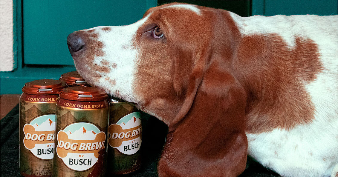 busch-dog-brew-2021