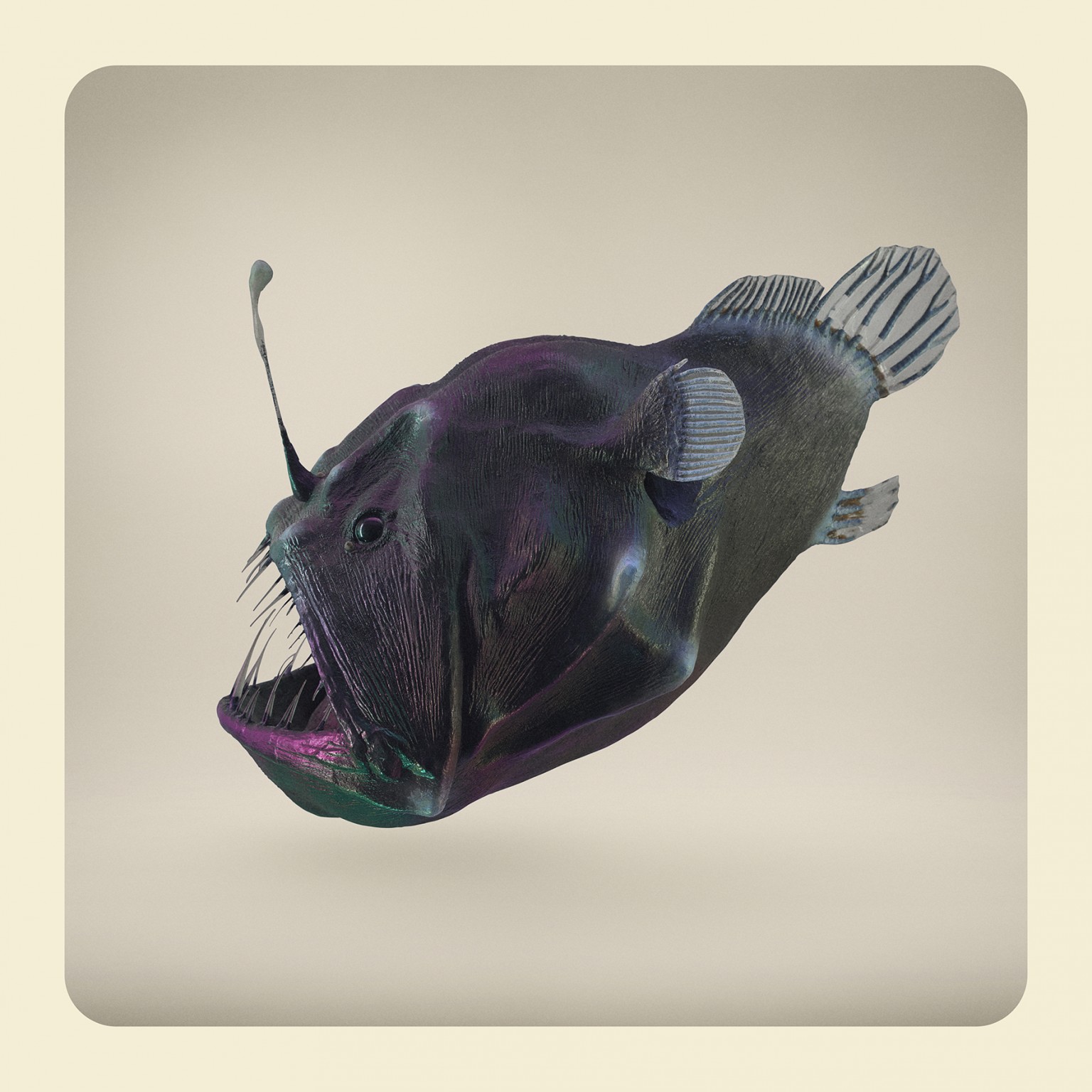 Angler-Fish-1536x1536