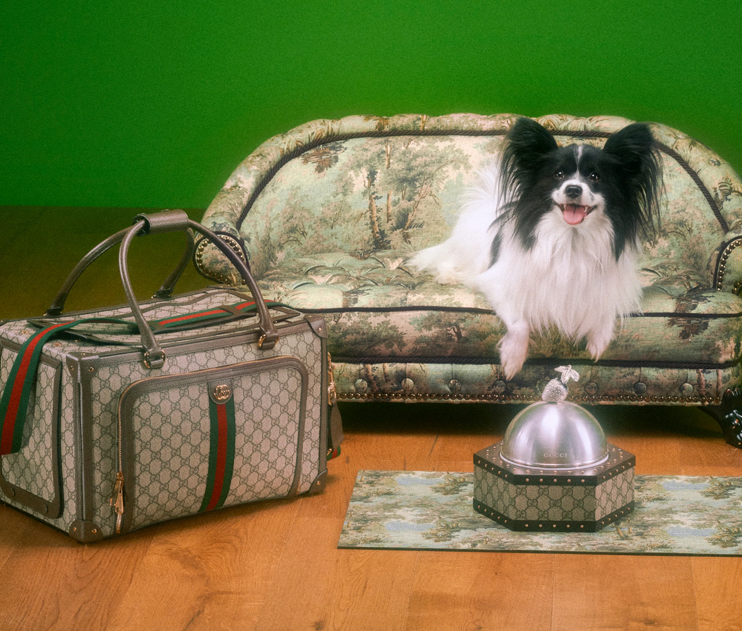 Gucci for pets lands with adorable portraits from Max Siedentopf