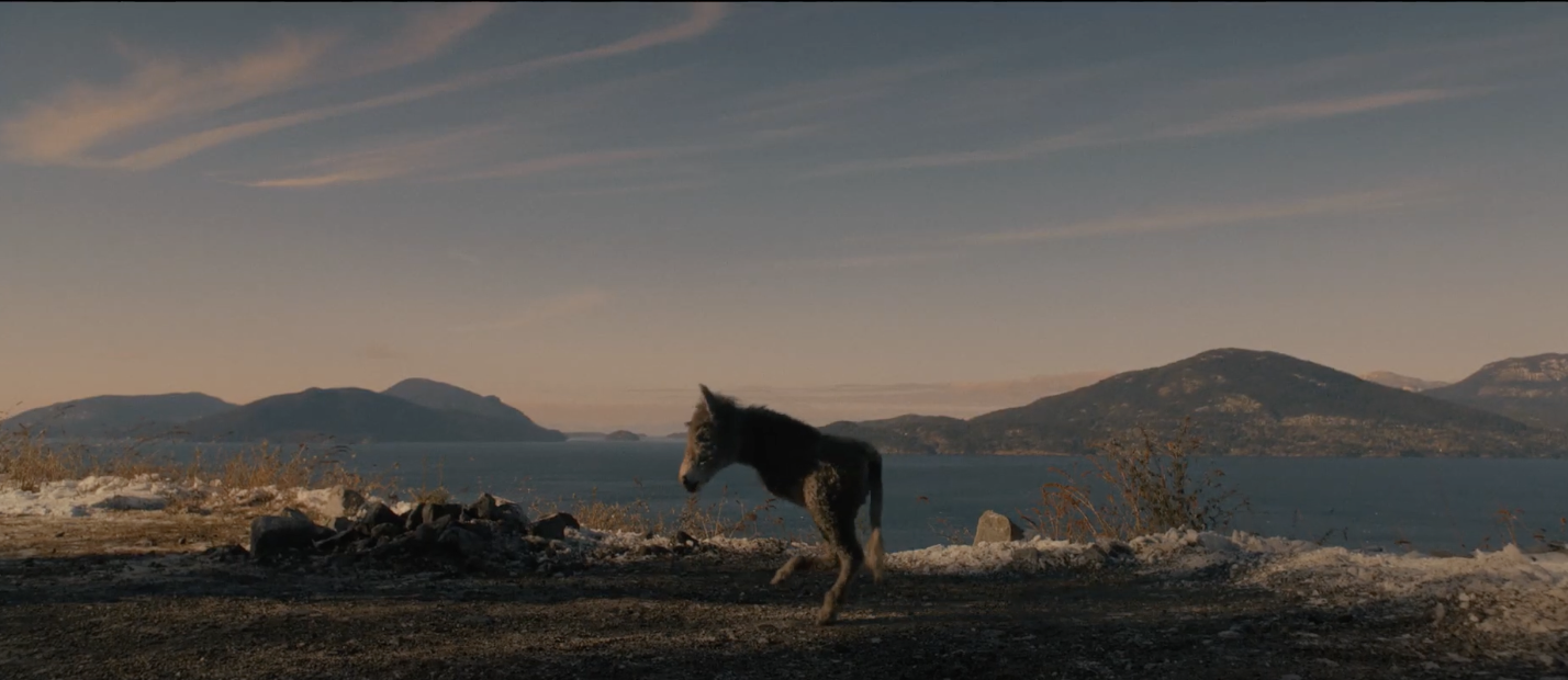 Reformas com tudo certo no Canadá