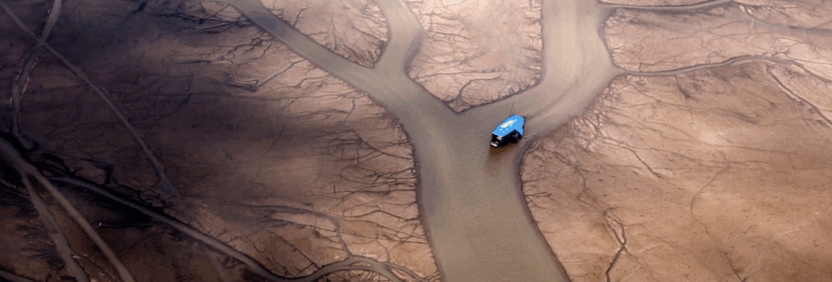 Imagens de outro mundo para o Greenpeace Brasil