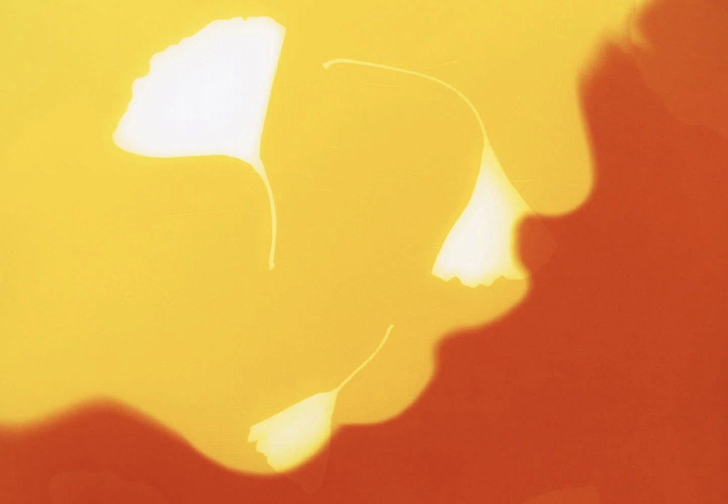 Will Matsuda e o tributo à Hiroshima