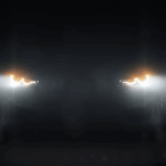 O predador mais mortal da Austrália