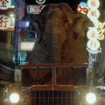 Um elefante dirigindo um caminhão em Bangkok