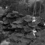 Destaques da semana. AS FOTOS REDESCOBERTAS DE ROBERTO DONETTA NA SUÍÇA