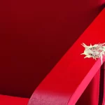 O cocô das gaivotas em Brigton