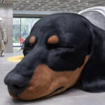 Uma visão de futuro no varejo da Coreia do Sul