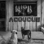 Destaques da semana. O WORLD PRESS PHOTO E OS 70 ANOS DE FOTOJORNALISMO