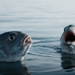 Destaques da semana. CAMPANHA CONTRA A POLUIÇÃO DOS OCEANOS NO REINO UNIDO