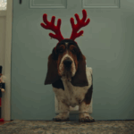 Destaques da semana. A ANSIEDADE PELAS DELÍCIAS DO NATAL NA AUSTRÁLIA