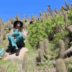 Destaques da semana. AS 100 HISTÓRIAS COM O SOL DO CHILE