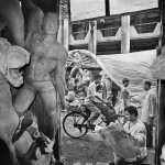 Os vencedores da Royal Photographic Society 2025