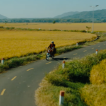 Destaques da semana. A JORNADA DE UM TIO DURÃO PELO VIETNÃ