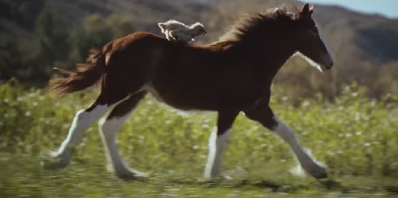 Destaques da semana. BUDWEISER E OS SÍMBOLOS DA AMÉRICA NO SUPER BOWL