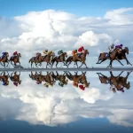 Os vencedores do World Sports Photography Awards 2026