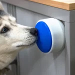 O botão para cães ligarem aparelhos domésticos