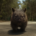 A segurança para motociclistas na Austrália