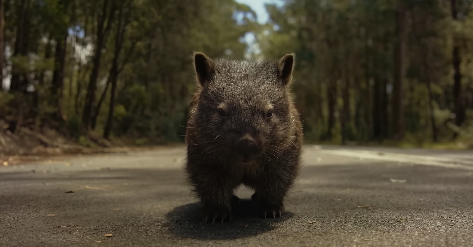 A segurança para motociclistas na Austrália