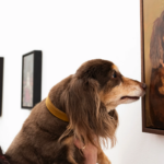 Destaques da semana. OS ANIMAIS COM VÍCIOS MODERNOS DE ALISON FRIEND