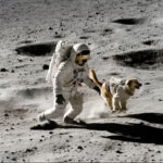 Campanha contra o cibercrime no Reino Unido