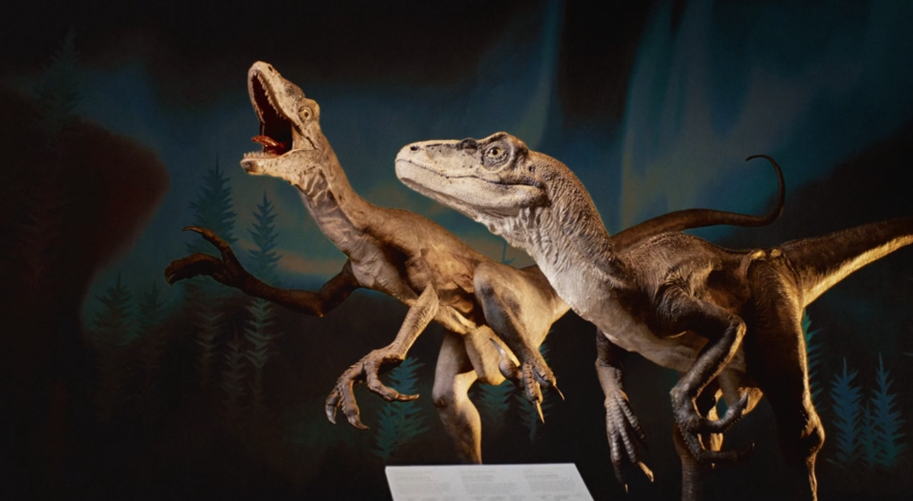 Protegendo os animais no Museu da Austrália