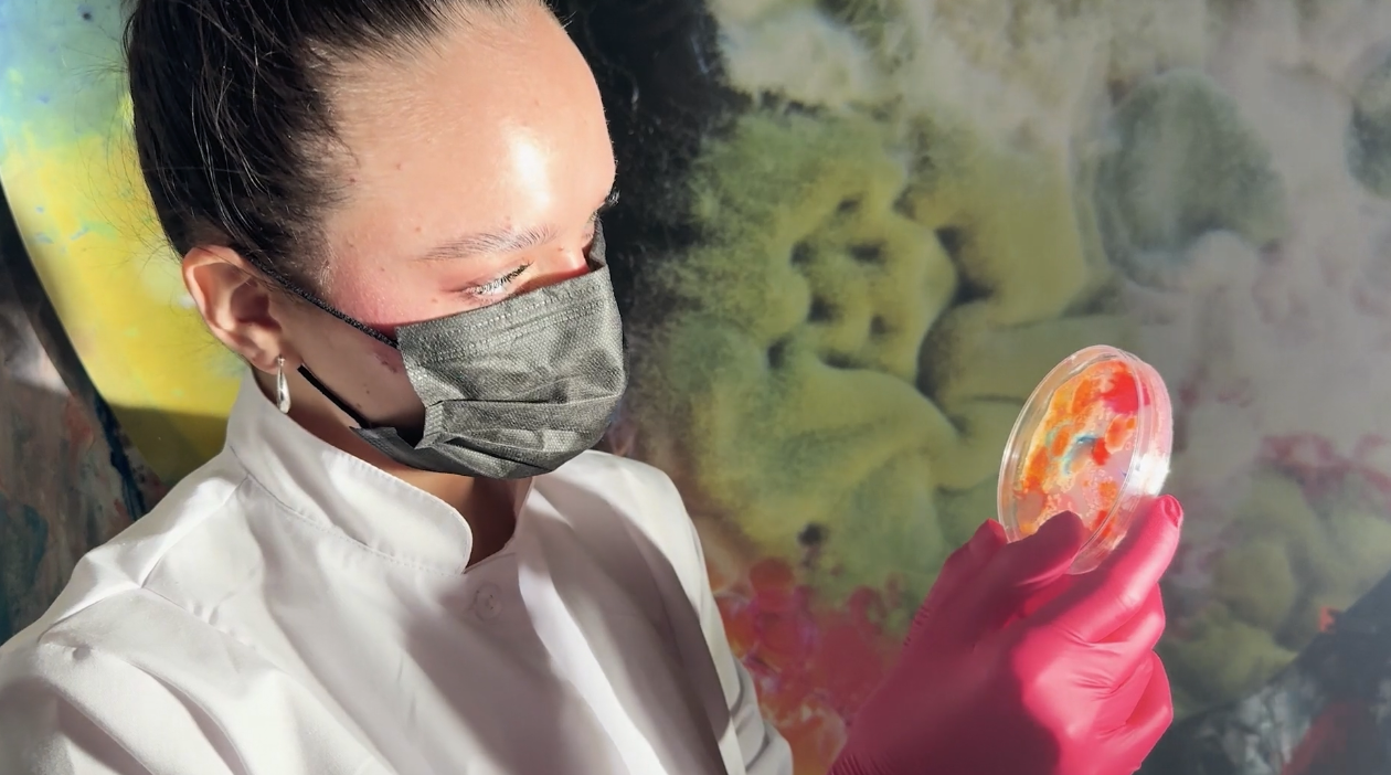 Os organismos vivos e o design em Barcelona