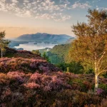 Os vencedores do International Garden Photographer of the Year