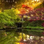 Destaques da semana. OS VENCEDORES DO INTERNATIONAL GARDEN PHOTOGRAPHER OF THE YEAR