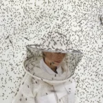 Destaques da semana. OS PREMIADOS DO ENVIRONMENTAL PHOTOGRAPHY AWARD 2026