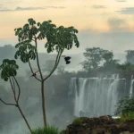 Os premiados do Environmental Photography Award 2026