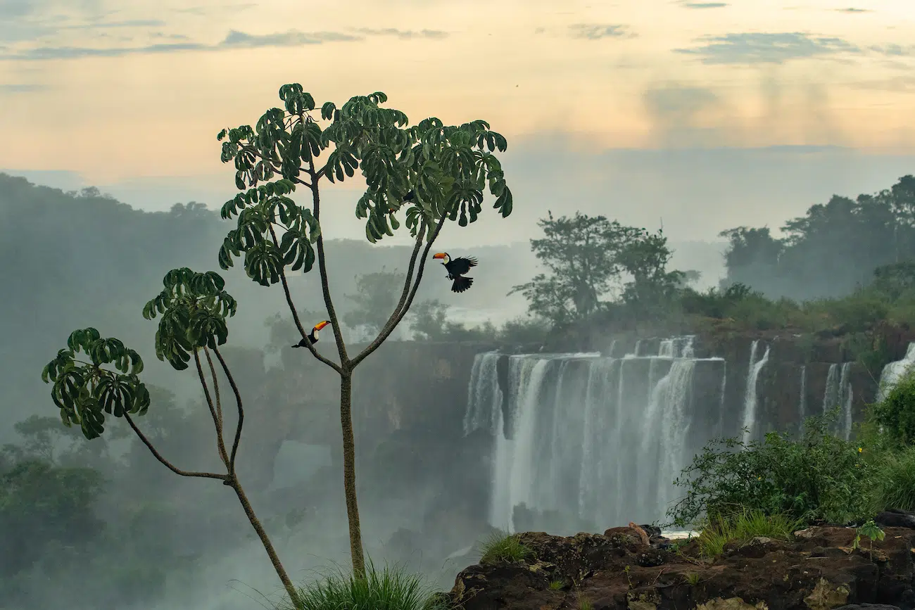 Os premiados do Environmental Photography Award 2026