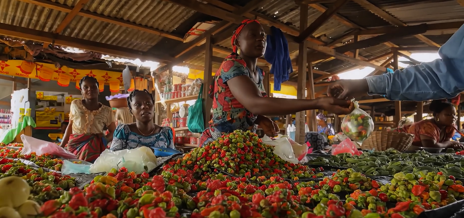 Compartilhando os conhecimentos das mães no comércio da África