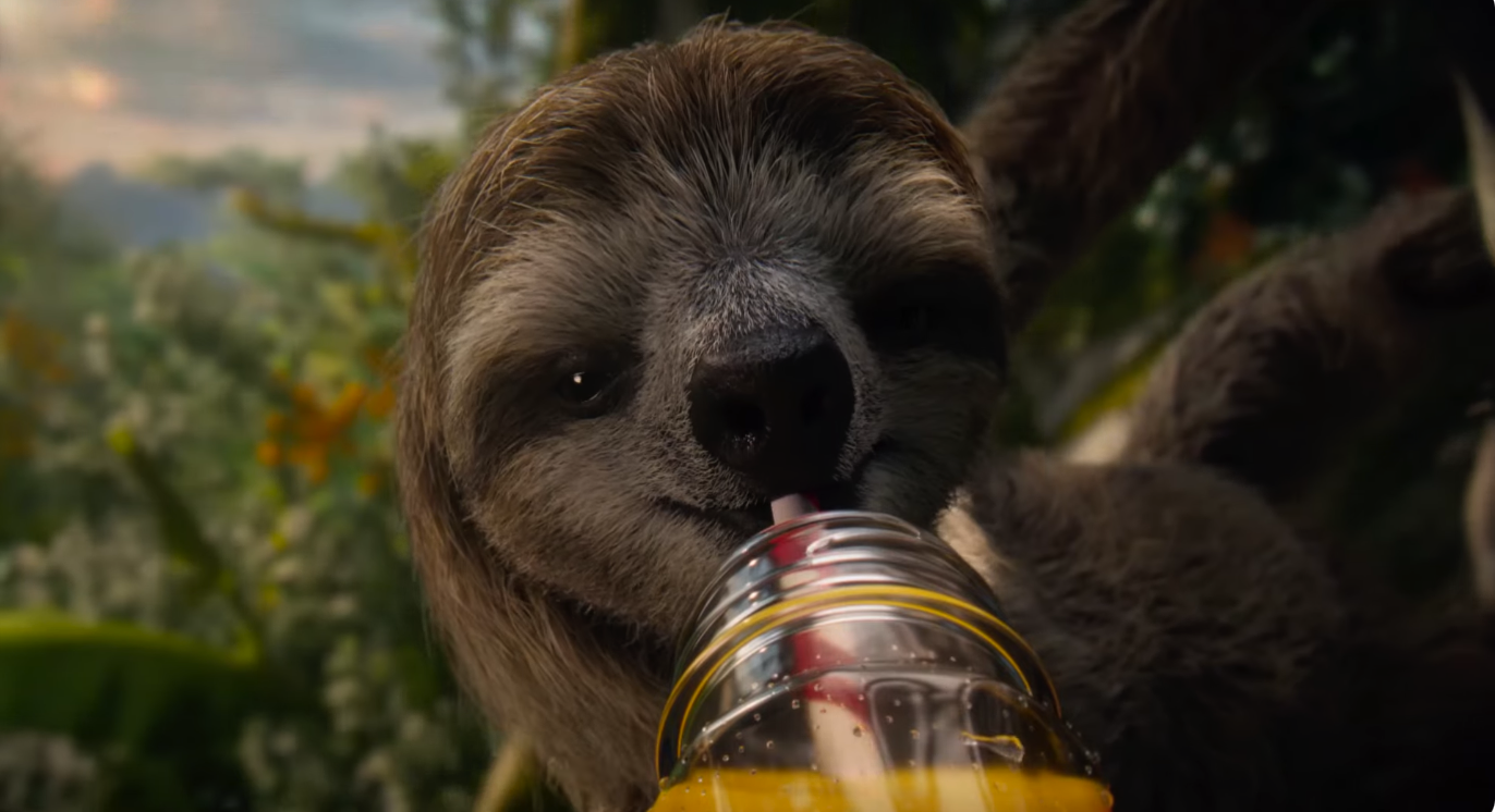 Um sapo, uma preguiça e um suco nos EUA