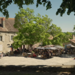 Um mundo sem abelhas na França
