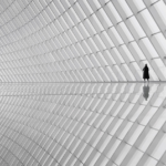 Os vencedores do Minimalist Photography Awards 2026